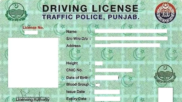 license-driving-online-