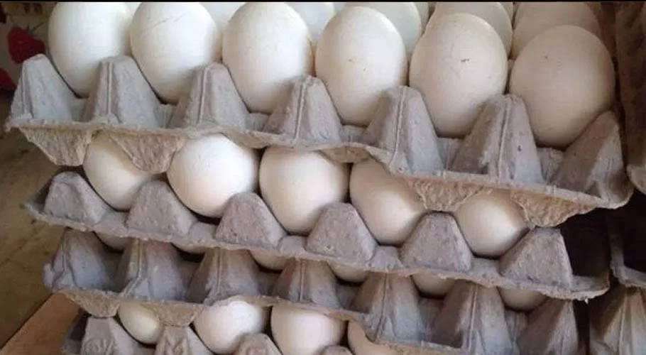 Egg prices