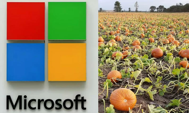 microsoft