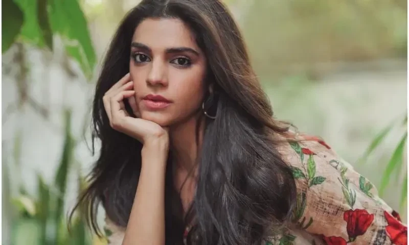 Sanam Saeed Divorce rate