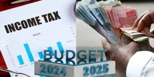 Budget 2024 salaried class taxes