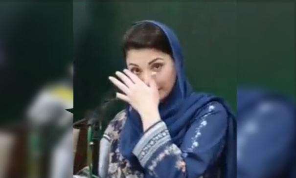 مریم نواز رو پڑیں