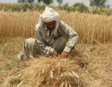 Kisano ka ahtjaj kisan bord ky sarbrah ko griftar kr lia gia