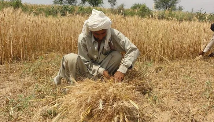 Kisano ka ahtjaj kisan bord ky sarbrah ko griftar kr lia gia