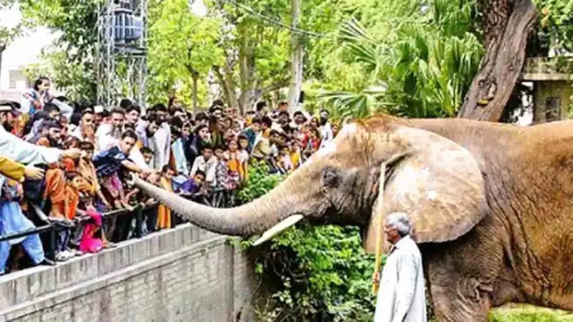 Eid ul azha py zoo khol dia jy ga