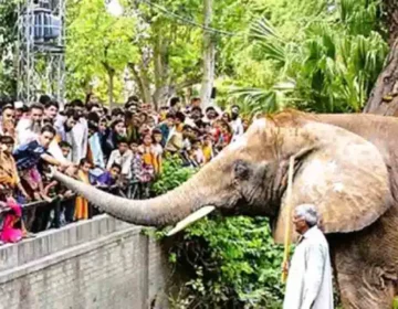 Eid ul azha py zoo khol dia jy ga