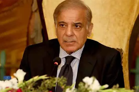 Hm ny kafi had tak corruption py qabo pa lia ha Shahbaz sharif